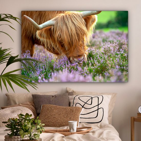 Close-up highlander écossais sent la toile de bruyère violette 2cm