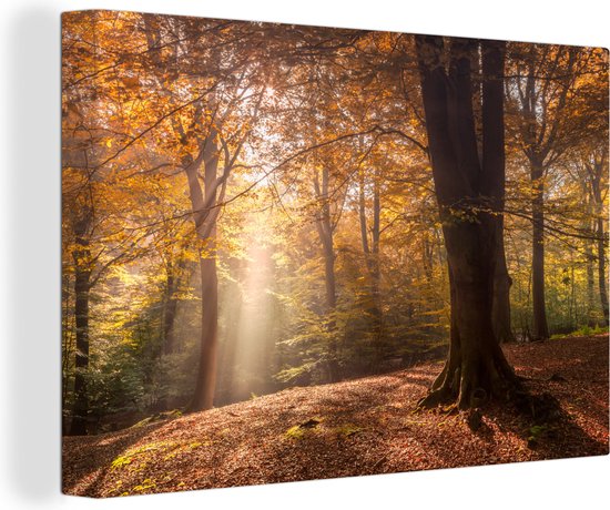 Canvas schilderij - Bos - Herfst - Licht - Bladeren - Bomen - Canvasdoek - 140x90 cm - Schilderijen op canvas - Wanddecoratie