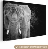 Canvas schilderij 150x100 cm - Wanddecoratie Portret van een olifant in zwart-wit - Muurdecoratie woonkamer - Slaapkamer decoratie - Kamer accessoires - Schilderijen