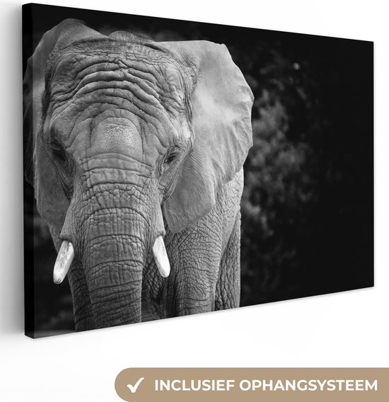 Canvas schilderij 150x100 cm - Wanddecoratie Portret van een olifant in zwart-wit - Muurdecoratie woonkamer - Slaapkamer decoratie - Kamer accessoires - Schilderijen