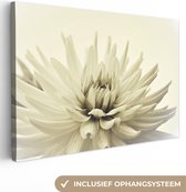 Canvas Schilderij Witte dahlia bloem sepia fotoprint - 120x80 cm - Wanddecoratie