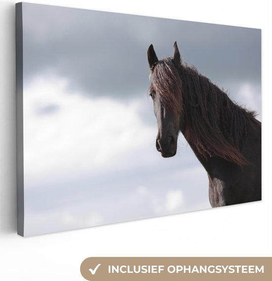 Toile de cheval marron 80x60 cm - Tirage photo sur toile (Décoration murale salon / chambre) / Peintures sur toile Animaux