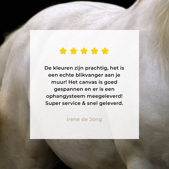 Toile Peinture Paarden - Animaux de la ferme - Zwart - 80x40 cm - Décoration murale