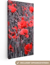 Canvas Schilderij Rode Klaprozen in een zwart wit afbeelding - 40x80 cm - Wanddecoratie
