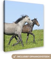 Canvas Schilderij Paarden - Dieren - Gras - 90x90 cm - Wanddecoratie