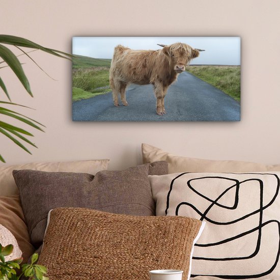 Tableau sur Toile Scottish Highlander - Route - Herbe - 40x20 cm - Décoration murale