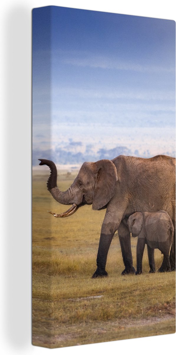 Canvas Schilderij Natte poten van een baby olifant en zijn moeder - 20x40 cm - Wanddecoratie