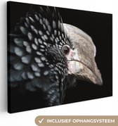 Canvas Schilderij Vogel - Snavel - Veren - 40x30 cm - Wanddecoratie