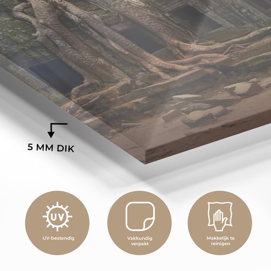 Racines d'arbres sur l'ancien temple Ta Prohm à Angkor Wat Plexiglas 90x60 cm - Tirage photo sur Glas (décoration murale en plexiglas)