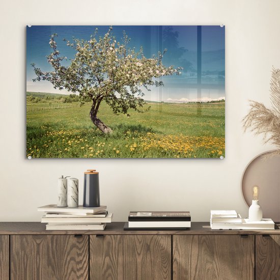 MuchoWow® Peinture sur Verre - Pommier - Printemps - Fleurs - 60x40 cm - Peintures sur Verre Acrylique - Photo sur Glas