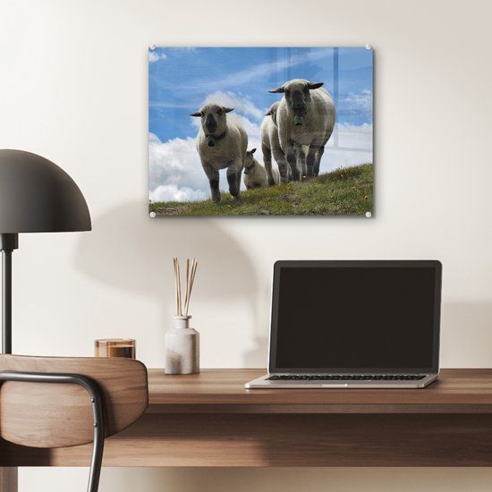 MuchoWow® Glasschilderij 40x30 cm - Schilderij acrylglas - Schapen - Berg - Alpen - Foto op glas - Schilderijen