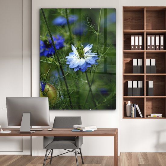 MuchoWow® Peinture sur verre 120x160 cm - Peinture sur verre acrylique - Une fleur de nigelle parmi les plantes - Photo sur verre - Peintures