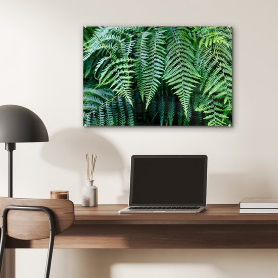 Peinture sur Verre - Fougères Vertes - 60x40 cm - Peintures sur Verre Peintures - Photo sur Glas