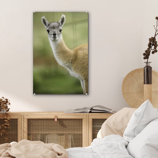 MuchoWow® Peinture sur verre 40x60 cm - Peinture sur verre acrylique - Lama - Animaux - Portrait - Photo sur verre - Peintures