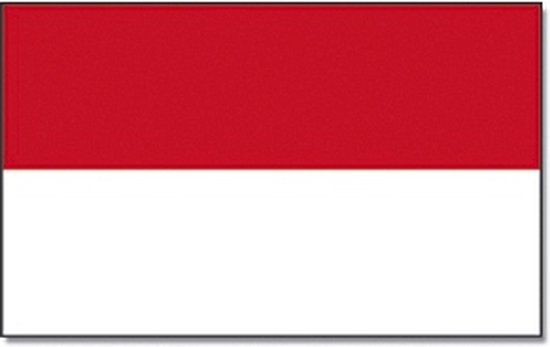 Vlag Indonesie 90 x 150 cm feestartikelen - Indonesie landen thema supporter/fan decoratie artikelen