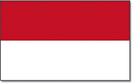 Foto: Vlag indonesie 90 x 150 cm feestartikelen indonesie landen thema supporter fan decoratie artikelen