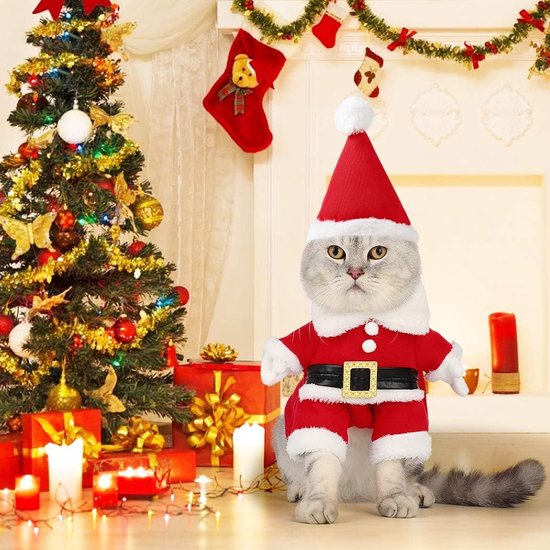 Manteau pour Chien Noel, Manteau Chien Petite Taille avec Le Père Noël sur  Son Chat Pull Chien Noel Rouge