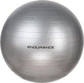 ENDURANCE Gymnastikball Gym Ball