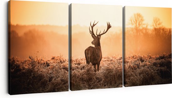 Artaza Peinture sur toile Triptyque Cerf dans la prairie pendant le lever du soleil - 180x80 - Groot - Photo sur toile - Impression sur toile