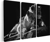 Artaza Peinture sur Toile Triptyque Lion et Lionne assis l'un à côté de l'autre - Zwart Wit - 120x80 - Photo sur Toile - Impression sur Toile