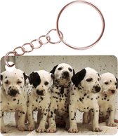 Sleutelhanger 6x4cm - Dalmatier Pups