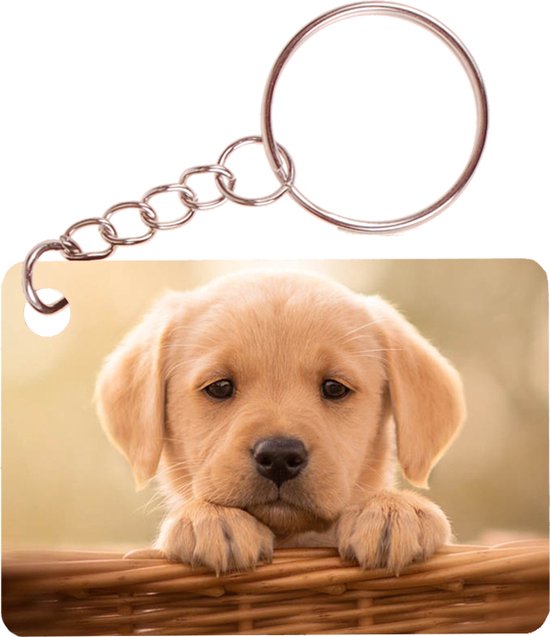 Sleutelhanger 6x4cm - Golden Retreiver Pup Mand