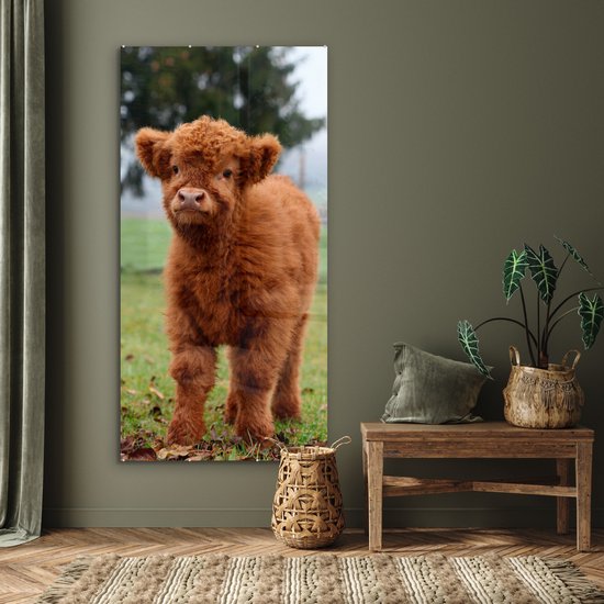 MuchoWow® Peinture sur verre 80x160 cm - Peinture sur verre acrylique - Highlander écossais - Veau - Herbe - Photo sur verre - Peintures