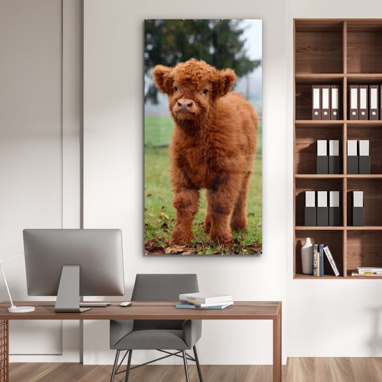 MuchoWow® Peinture sur verre 80x160 cm - Peinture sur verre acrylique - Highlander écossais - Veau - Herbe - Photo sur verre - Peintures