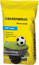 Barenbrug RPR Lawn YJ BS - Pelouse de jeu et de sport solide - Semences de gazon enrobées