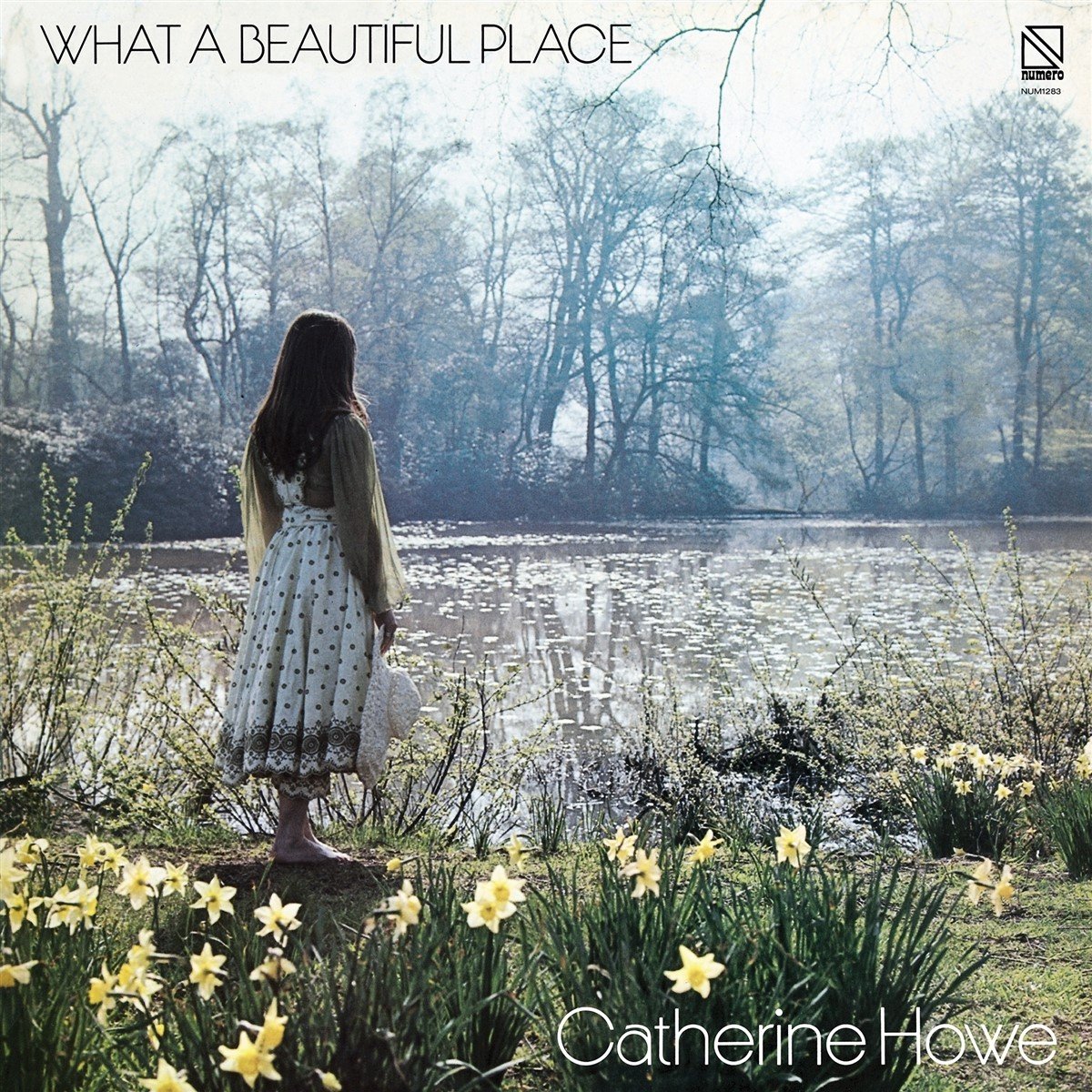 Catherine Howe - What A Beautiful Place (LP) (Coloured Vinyl)