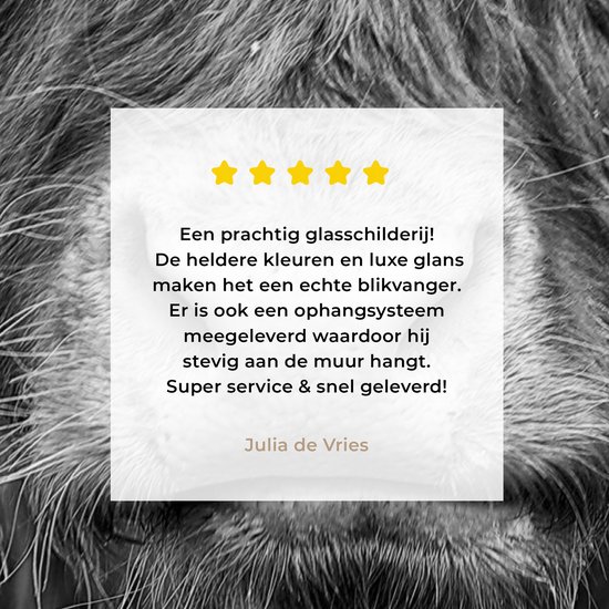 MuchoWow® Tableau sur verre 30x40 cm - Tableau sur verre acrylique - Highlander écossais - Vache - Zwart - Wit - Animaux - Photo sur verre - Décoration murale salon - Décoration murale chambre - Peintures