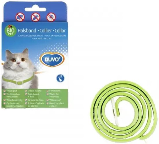 Kattenhalsband elastisch zwart Kitten-en-kattenhalsbanden Gebr. de Boon