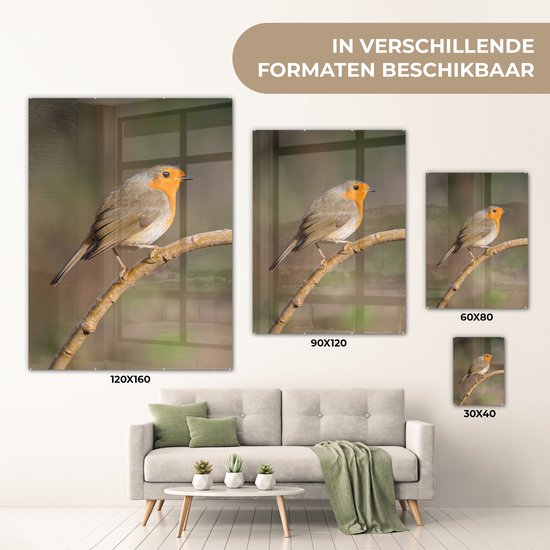MuchoWow® Glasschilderij 60x80 cm - Schilderij acrylglas - Roodborstje - Vogel - Natuur - Foto op glas - Schilderijen
