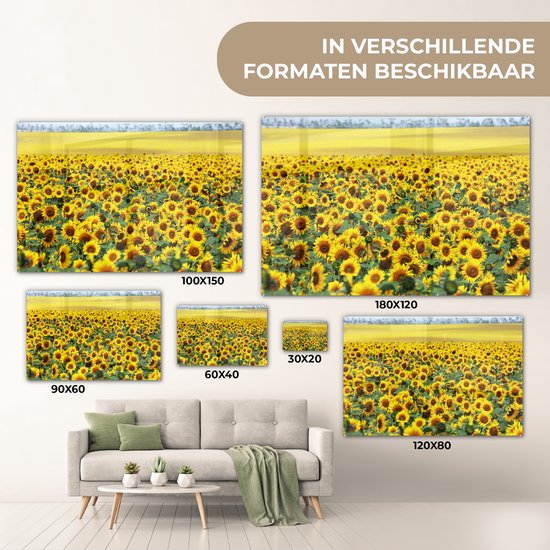 MuchoWow® Peinture sur verre 180x120 cm - Peinture sur verre acrylique - Tournesol - Fleurs - Nature - Photo sur verre - Peintures