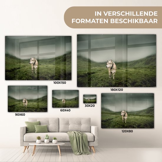 Vache en zone de montagne Glas 120x80 cm - Tirage photo sur Glas (Décoration murale plexiglas)