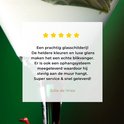 Afbeelding nummer  7