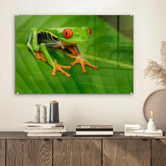 Peinture sur Verre - Grenouille - Feuille - Reptile - 60x40 cm - Peintures sur Verre Acrylique - Photo sur Glas