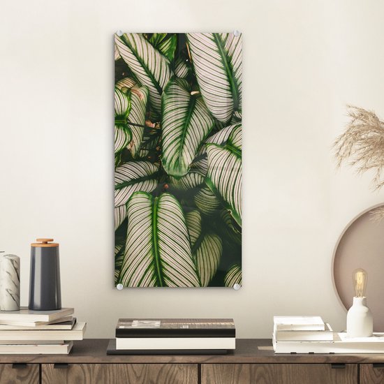 MuchoWow® Peinture sur verre 20x40 cm - Peinture acrylique sur verre - Feuilles - Plante - Vert - Photo sur verre - Peintures
