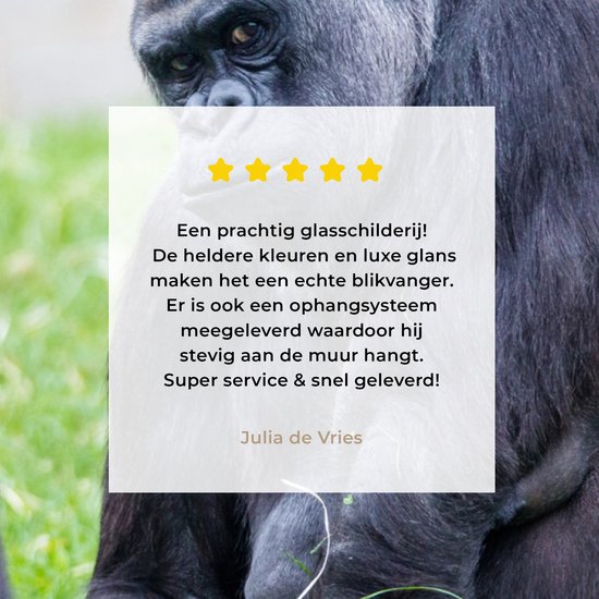 Un grand Gorilla avec son bébé en plexiglas 120x80 cm - Tirage photo sur Glas (décoration murale en plexiglas)