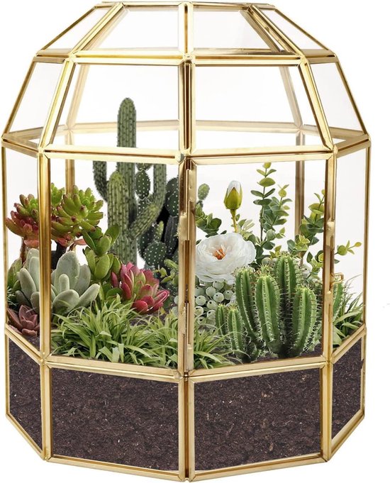 23cm grote geometrische terrarium plantenbak, vogelkooivorm, handgemaakte glazen doos, vintage tafelblad, miniatuur bloempot voor vetplanten, cactussen (gouden)