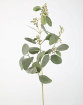 Flora Arte - Kunsttak - Eucalyptus - Kunstplanten - Groen - 102 cm