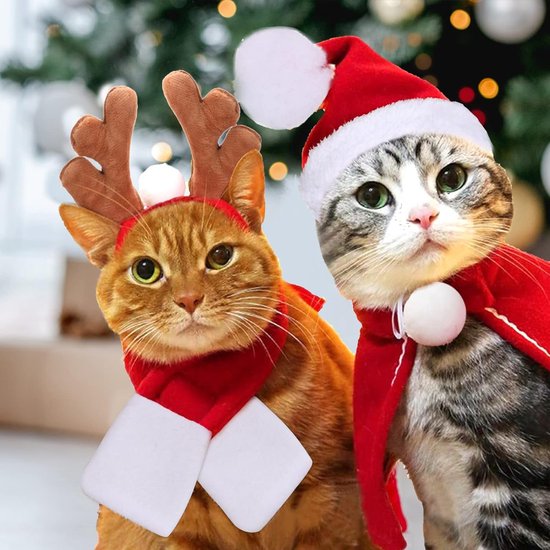 Costume de Noël pour chats, chapeau de Père Noël, écharpe, bois, chapeau, collier... | bol