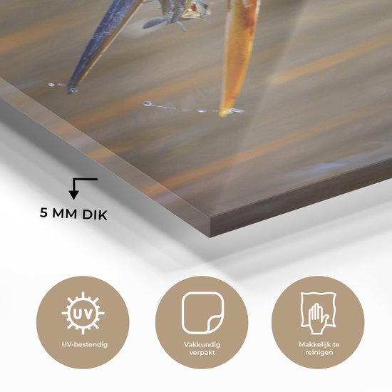 MuchoWow® Peinture sur verre - Héron avec proie - 120x90 cm - Peintures sur verre acrylique - Photo sur Glas
