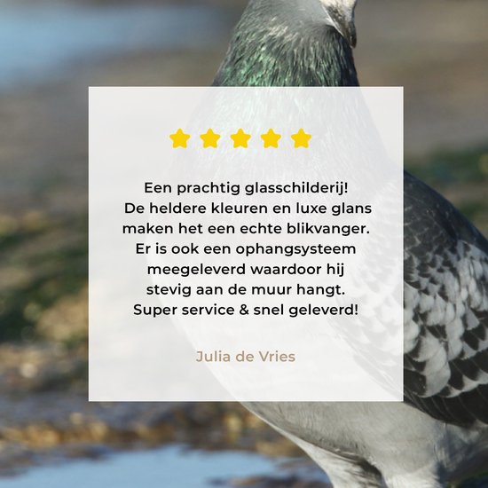 Pigeon rocheux dans l'eau Plexiglas 60x40 cm - Tirage photo sur Glas (décoration murale en plexiglas)