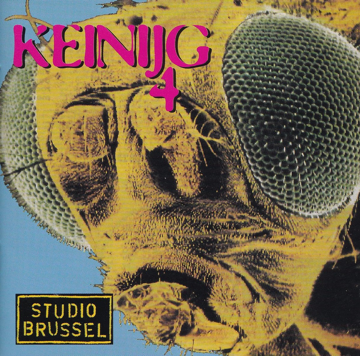 Keinijg 4 Studio brussel