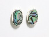 Ovale hoogglans zilveren oorstekers met abalone schelp