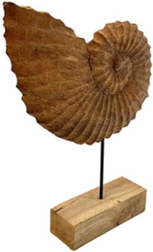 Beeld - hout beeld - schelp op standaard - by Mooss - Hoog 53.5 cm