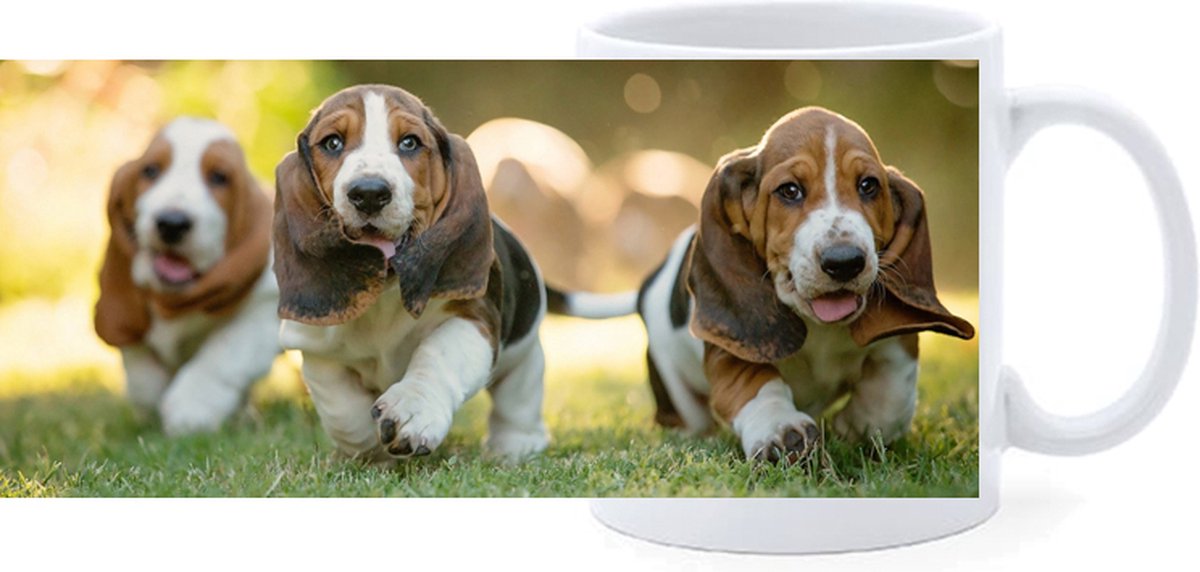 Beker - Basset Hounds Lopend