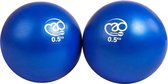 MADFitness - Gewichtballen - 2 x 0,5 Kg - PVC - Diameter 12 cm - Blauw