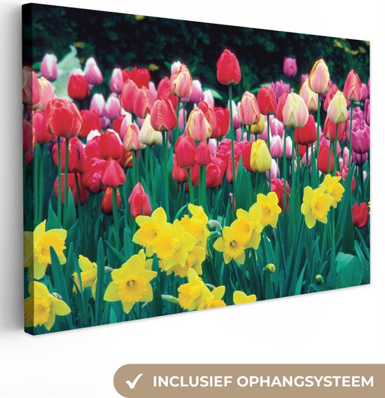 Canvas Schilderij Lente - Tulpen - Narcissen - 60x40 cm - Wanddecoratie